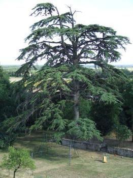 Domaine De Chantageasse Pensión